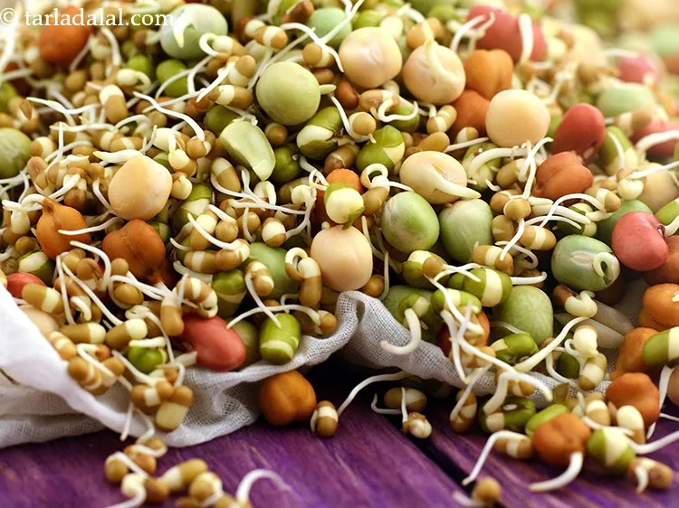 Mixed Sprouts Sundal
